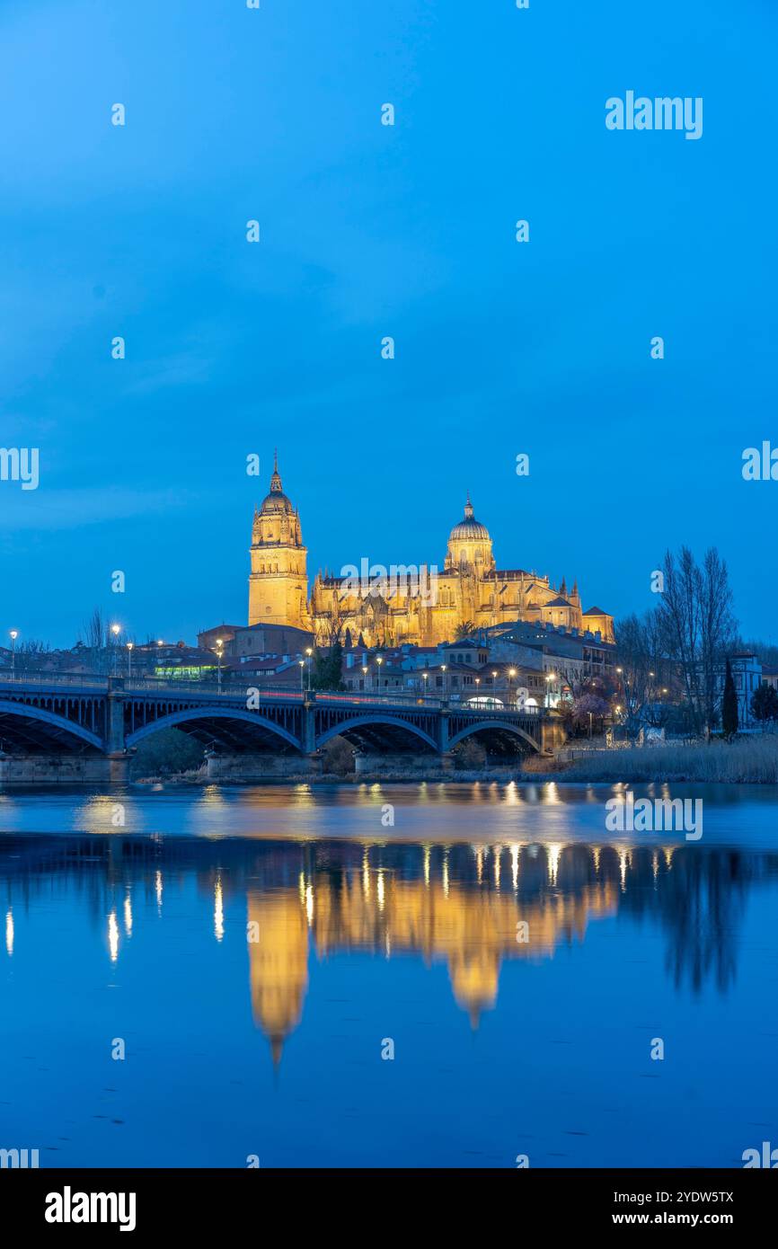 Rivière Tormes, Nouvelle Cathédrale de Salamanque (Catedral de la Asuncion de la Virgen), site du patrimoine mondial de l'UNESCO, Salamanque, Castille-et-Léon, Espagne Banque D'Images