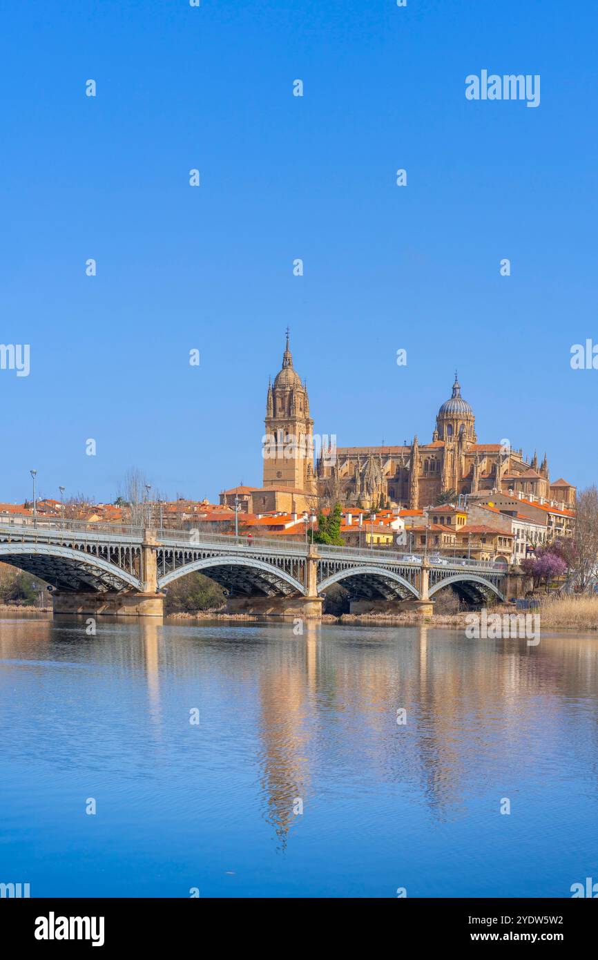 Rivière Tormes, Nouvelle Cathédrale de Salamanque (Catedral de la Asuncion de la Virgen), site du patrimoine mondial de l'UNESCO, Salamanque, Castille-et-Léon, Espagne Banque D'Images