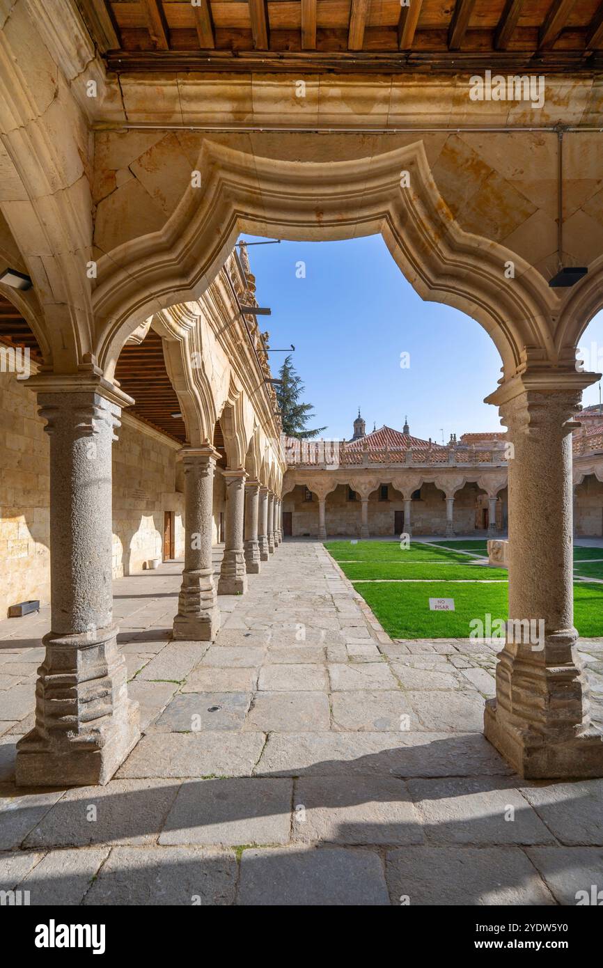 Université de Salamanque, Salamanque, site du patrimoine mondial de l'UNESCO, Castille-et-Léon, Espagne, Europe Banque D'Images