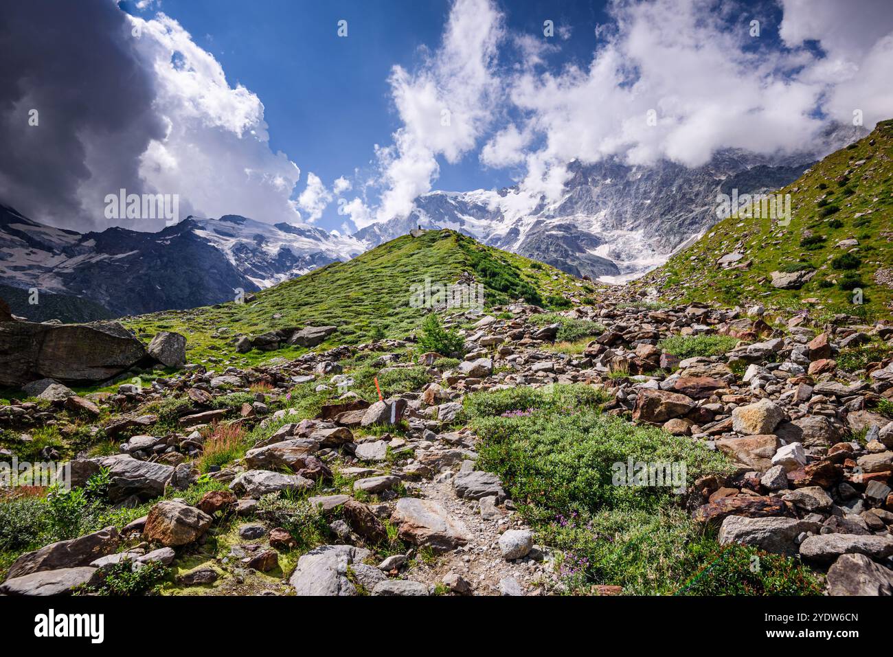 Crique de montagne, rochers et prairies, Monte Rosa, Dufourspitze, Alpes italiennes, Italie, Europe Banque D'Images