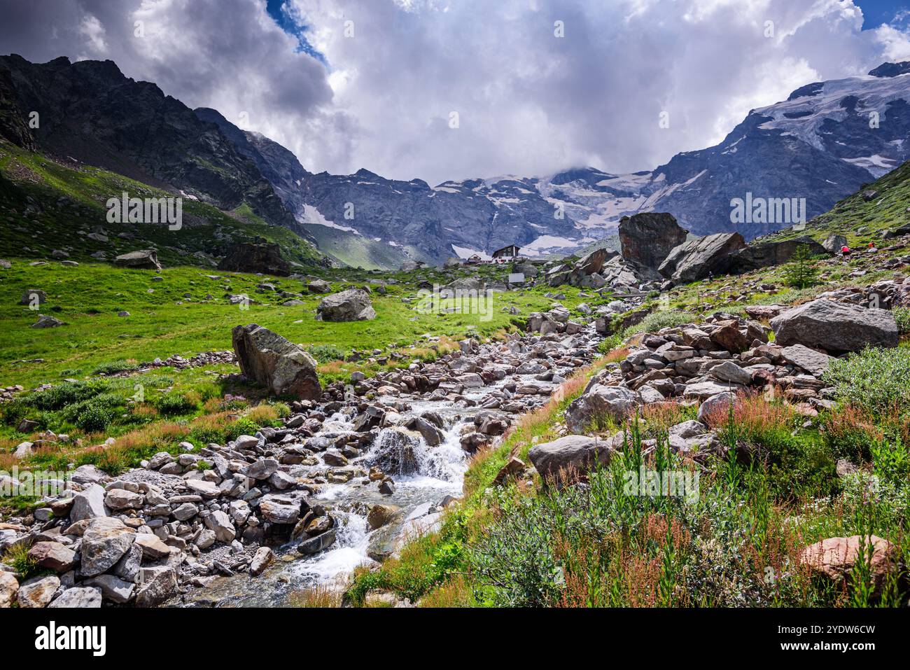Crique de montagne, rochers et prairies, Monte Rosa, Dufourspitze, Alpes italiennes, Italie, Europe Banque D'Images