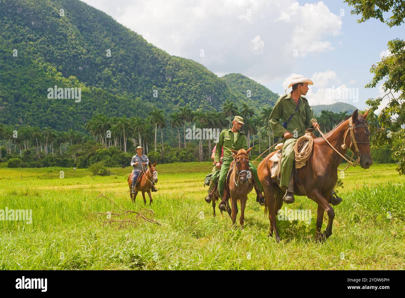 Gardes forestiers en patrouille, Pan de Azucar, Parc National de Vinales, UNESCO, Pinar del Rio, Cuba, Antilles, Caraïbes, Amérique centrale Banque D'Images