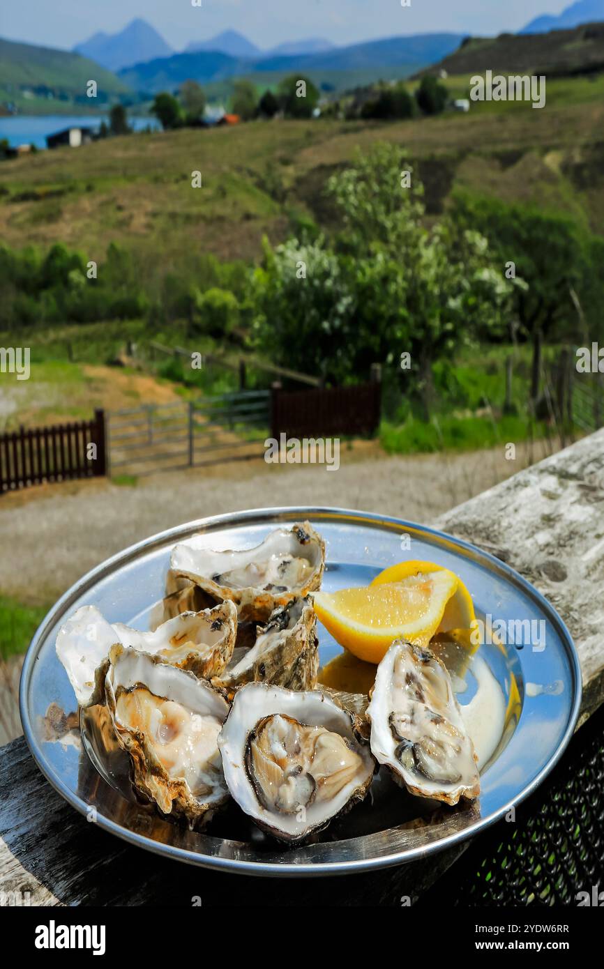 Huîtres fraîches, écaillées et prêtes à manger au Oyster Shed à Carbost avec les Cuillin Hills Beyond, The Oyster Shed, Loch Harport, Skye, Écosse Banque D'Images