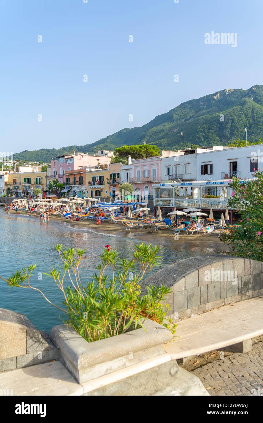 Vue de la plage et de la ville de Lacco Ameno, île d'Ischia, Campanie, Italie, Europe Banque D'Images