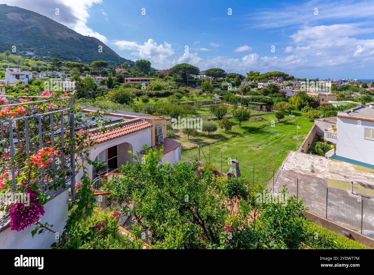 Vue de paysage de l'intérieur de l'île près de Giardini la Mortella, Forio, île d'Ischia, Campanie, Italie, Europe Banque D'Images