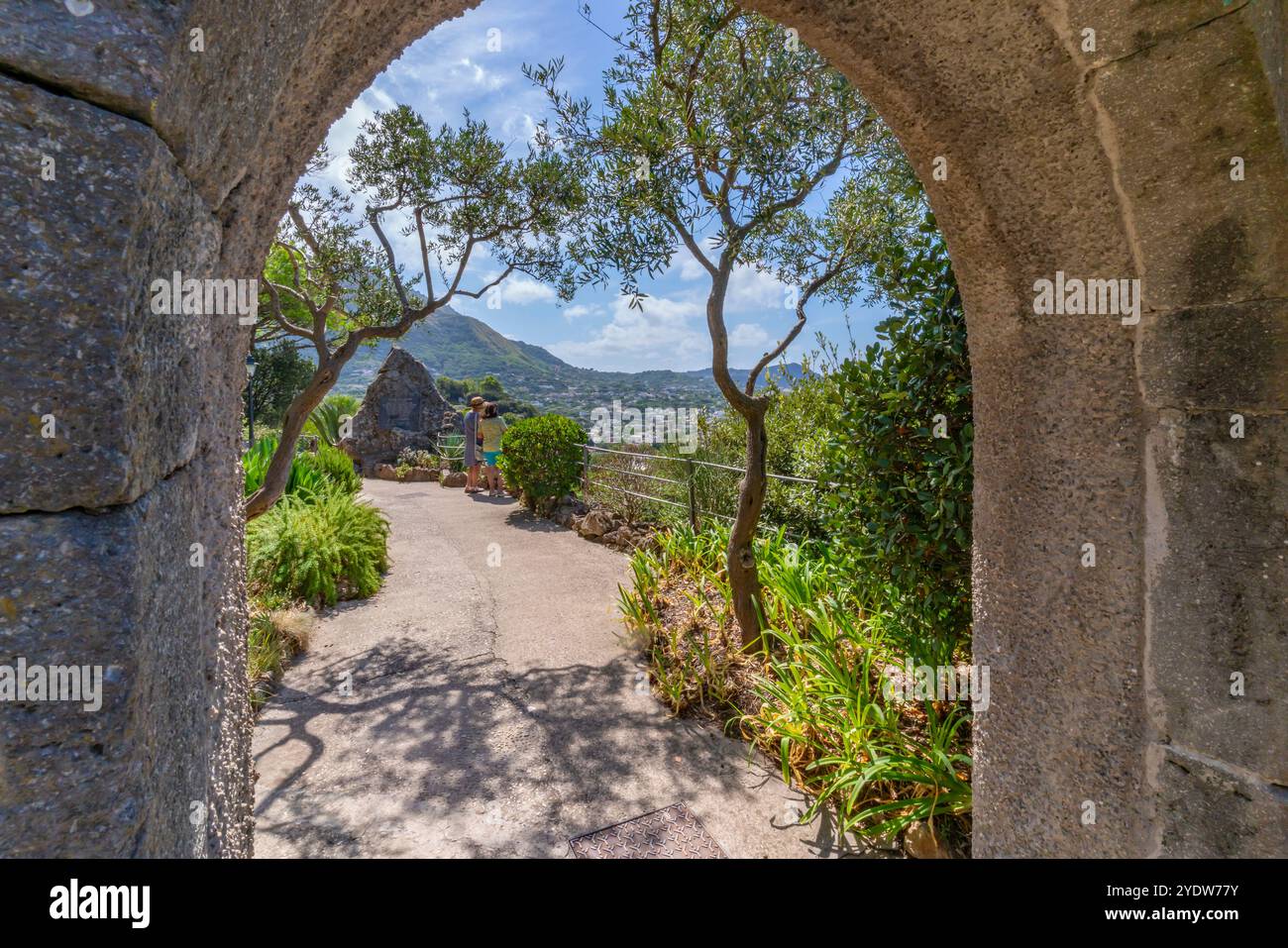 Vue de l'arche et de la flore tropicale dans le jardin botanique Giardini la Mortella, Forio, île d'Ischia, Campanie, Italie, Europe Banque D'Images Vue de l'arche et de la flore tropicale dans le jardin botanique Giardini la Mortella, Forio, île d'Ischia, Campanie, Italie, Europe Banque D'Images