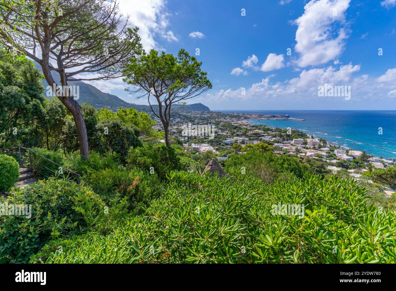 Vue de la flore tropicale dans les jardins botaniques Giardini la Mortella et Forio en arrière-plan, Forio, île d'Ischia, Campanie, Italie, Europe Banque D'Images Vue de la flore tropicale dans les jardins botaniques Giardini la Mortella et Forio en arrière-plan, Forio, île d'Ischia, Campanie, Italie, Europe Banque D'Images