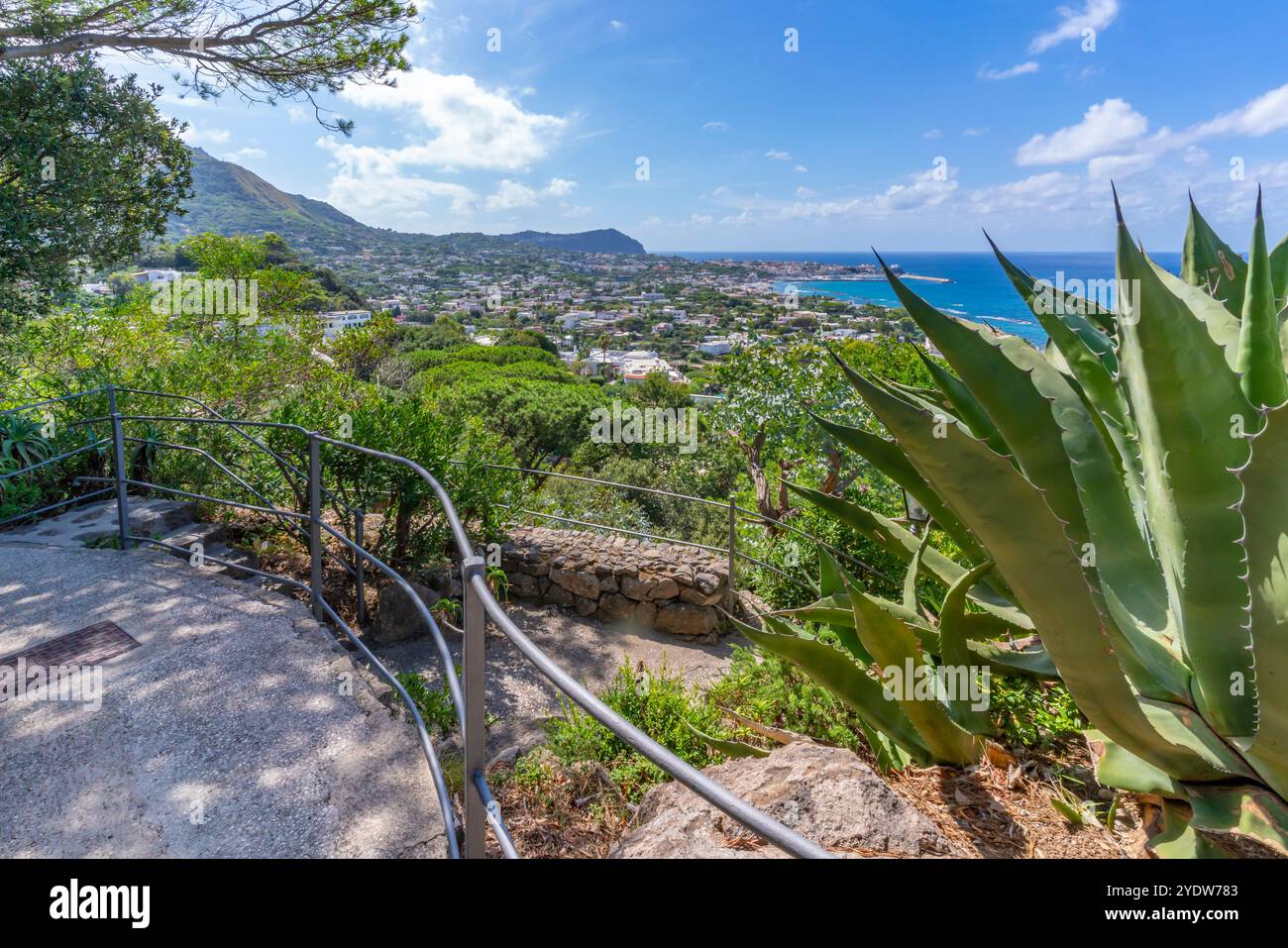 Vue de la flore tropicale dans les jardins botaniques Giardini la Mortella et Forio en arrière-plan, Forio, île d'Ischia, Campanie, Italie, Europe Banque D'Images Vue de la flore tropicale dans les jardins botaniques Giardini la Mortella et Forio en arrière-plan, Forio, île d'Ischia, Campanie, Italie, Europe Banque D'Images