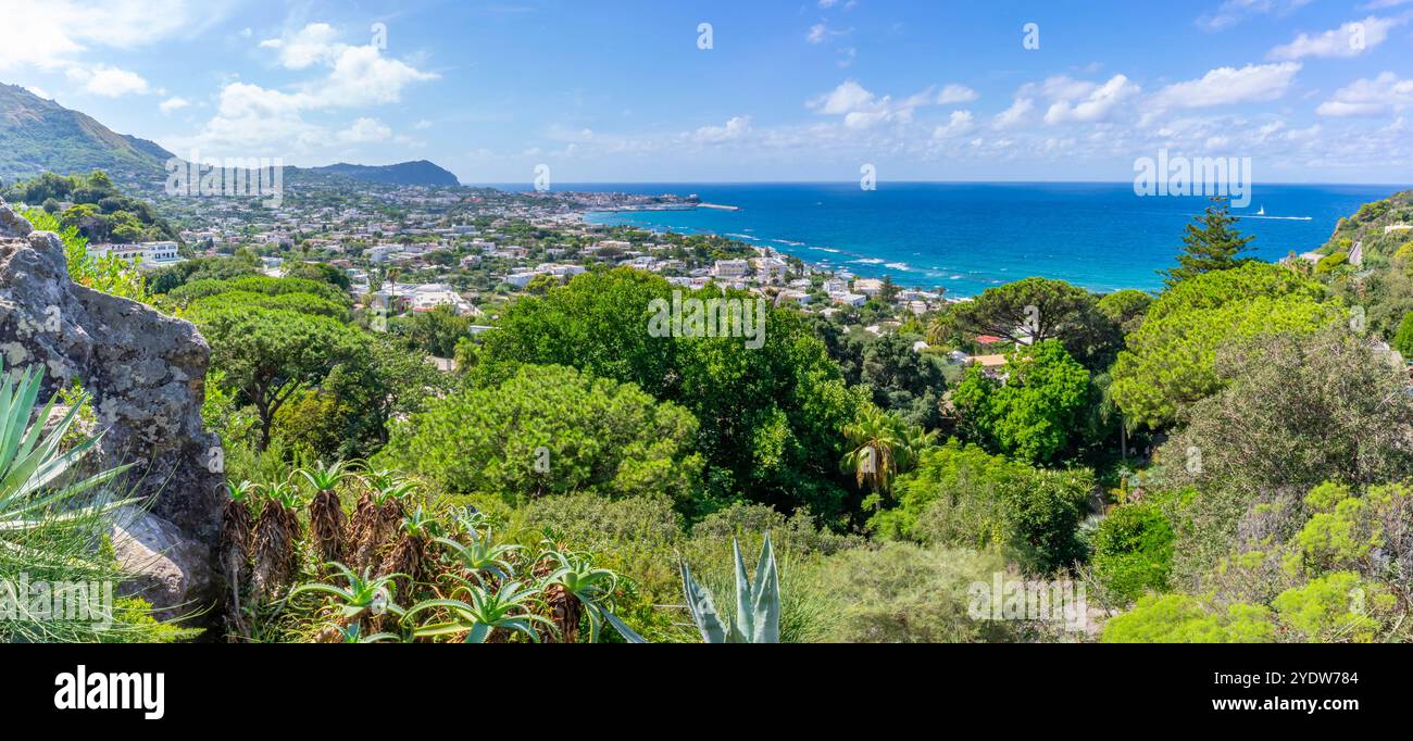 Vue de la flore tropicale dans les jardins botaniques Giardini la Mortella et Forio en arrière-plan, Forio, île d'Ischia, Campanie, Italie, Europe Banque D'Images Vue de la flore tropicale dans les jardins botaniques Giardini la Mortella et Forio en arrière-plan, Forio, île d'Ischia, Campanie, Italie, Europe Banque D'Images