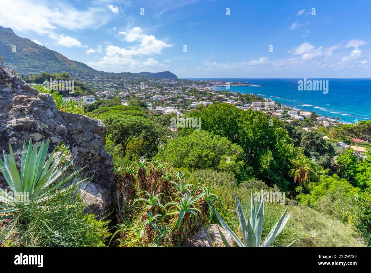 Vue de la flore tropicale dans les jardins botaniques Giardini la Mortella et Forio en arrière-plan, Forio, île d'Ischia, Campanie, Italie, Europe Banque D'Images Vue de la flore tropicale dans les jardins botaniques Giardini la Mortella et Forio en arrière-plan, Forio, île d'Ischia, Campanie, Italie, Europe Banque D'Images