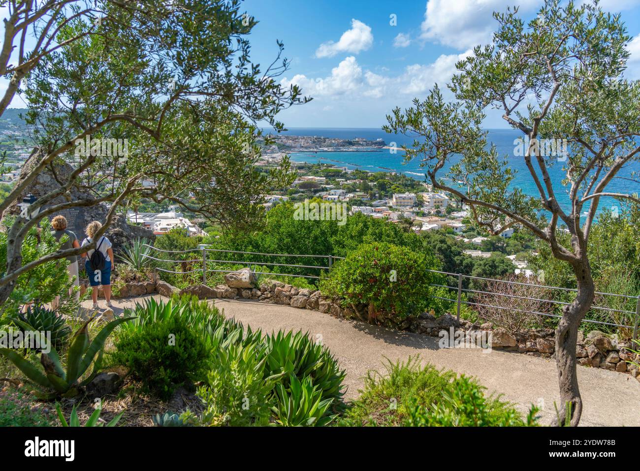 Vue de la flore tropicale dans les jardins botaniques Giardini la Mortella et Forio en arrière-plan, Forio, île d'Ischia, Campanie, Italie, Europe Banque D'Images Vue de la flore tropicale dans les jardins botaniques Giardini la Mortella et Forio en arrière-plan, Forio, île d'Ischia, Campanie, Italie, Europe Banque D'Images