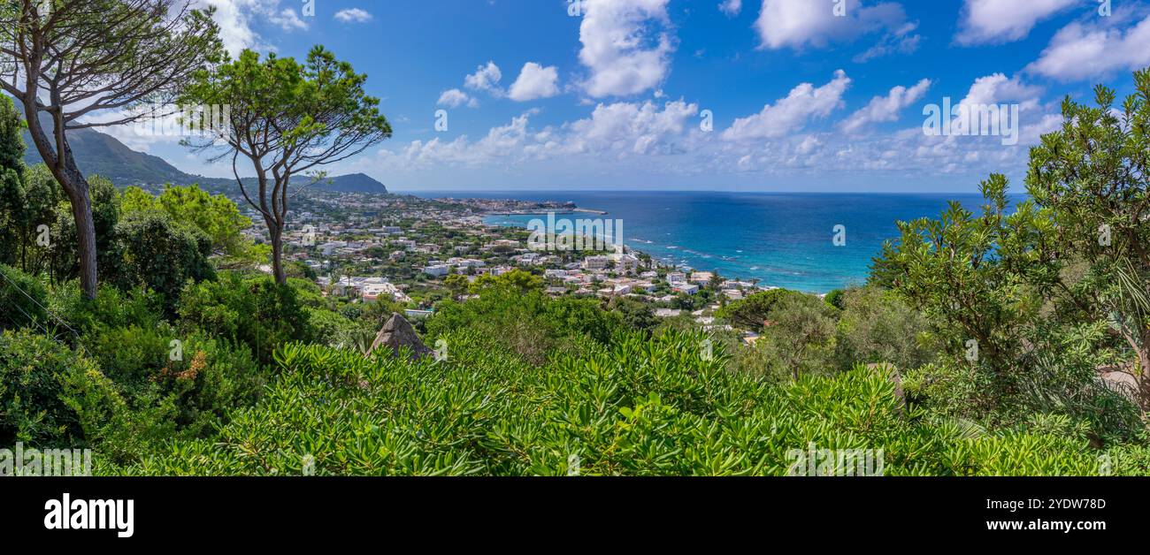 Vue de la flore tropicale dans les jardins botaniques Giardini la Mortella et Forio en arrière-plan, Forio, île d'Ischia, Campanie, Italie, Europe Banque D'Images Vue de la flore tropicale dans les jardins botaniques Giardini la Mortella et Forio en arrière-plan, Forio, île d'Ischia, Campanie, Italie, Europe Banque D'Images