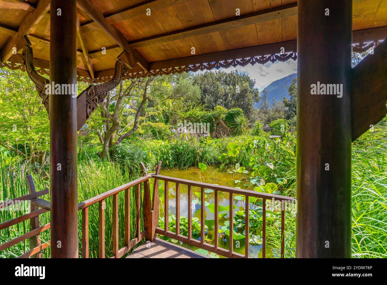 Vue de Sala Thai dans la flore tropicale dans les jardins botaniques Giardini la Mortella, Forio, île d'Ischia, Campanie, Italie, Europe Banque D'Images Vue de Sala Thai dans la flore tropicale dans les jardins botaniques Giardini la Mortella, Forio, île d'Ischia, Campanie, Italie, Europe Banque D'Images