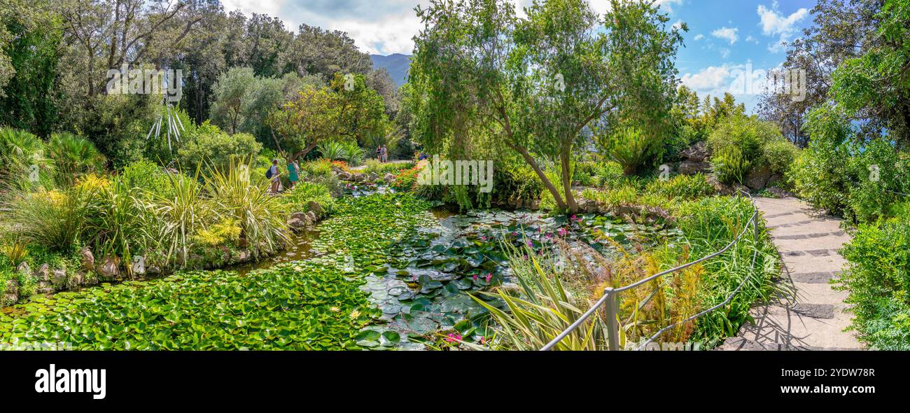 Vue de la flore tropicale dans les jardins botaniques Giardini la Mortella, Forio, île d'Ischia, Campanie, Italie, Europe Banque D'Images