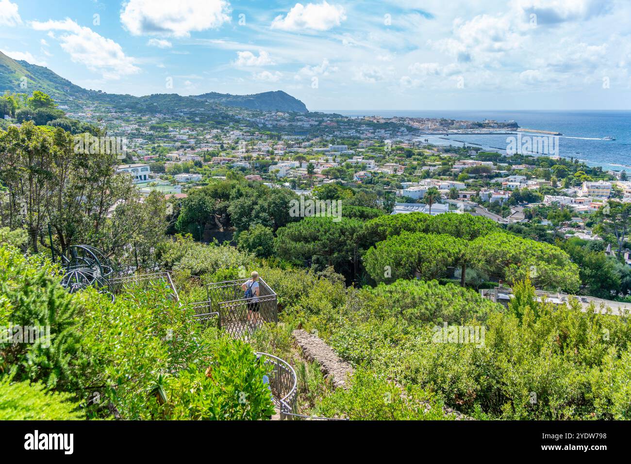 Vue de la flore tropicale dans les jardins botaniques Giardini la Mortella et Forio en arrière-plan, Forio, île d'Ischia, Campanie, Italie, Europe Banque D'Images Vue de la flore tropicale dans les jardins botaniques Giardini la Mortella et Forio en arrière-plan, Forio, île d'Ischia, Campanie, Italie, Europe Banque D'Images