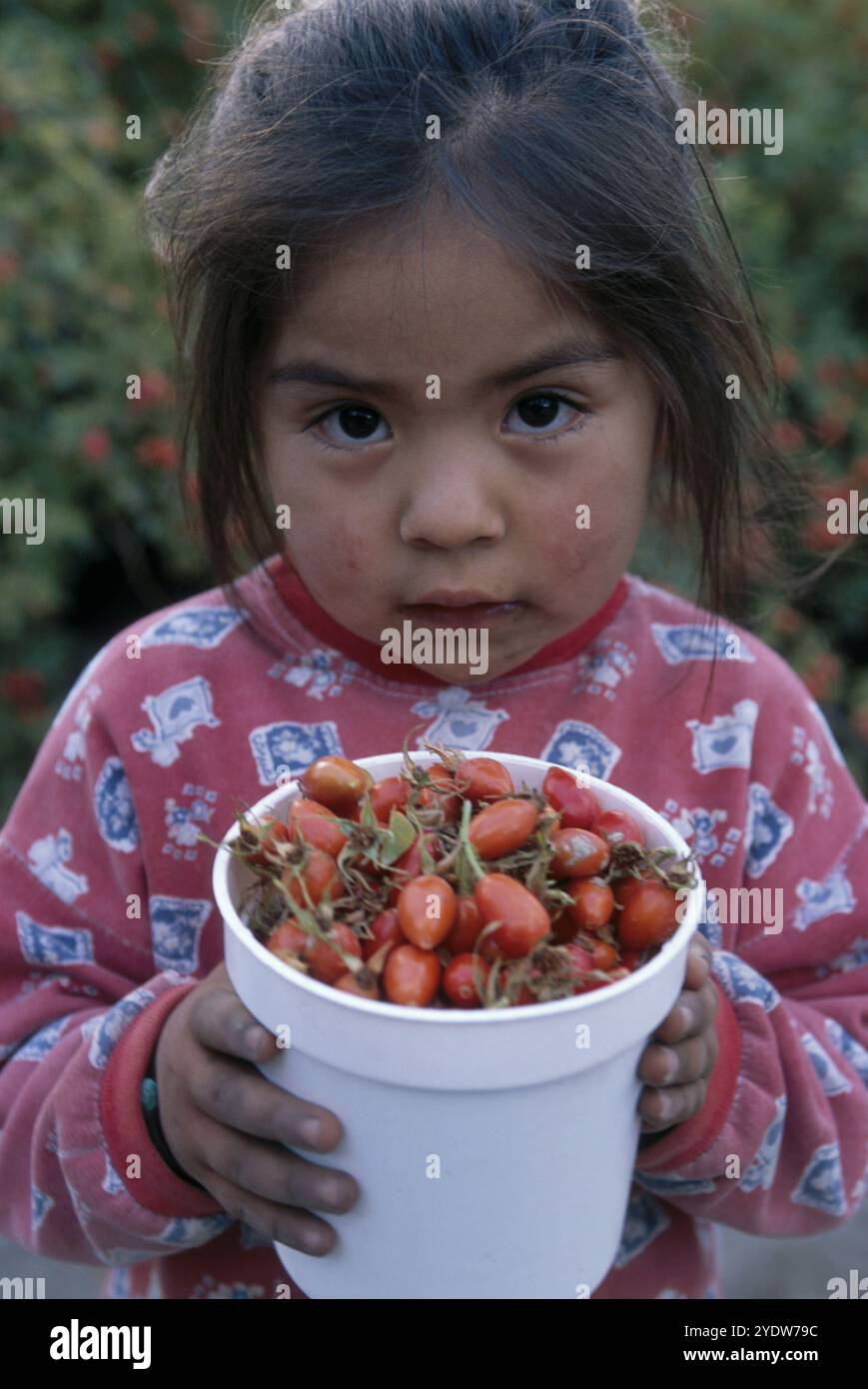 Fille avec des baies rosa mosqueta Banque D'Images