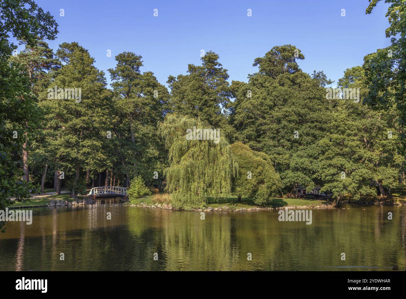 Palanga Botanical Park est un parc paysager dans la région côtière de la Lituanie Banque D'Images