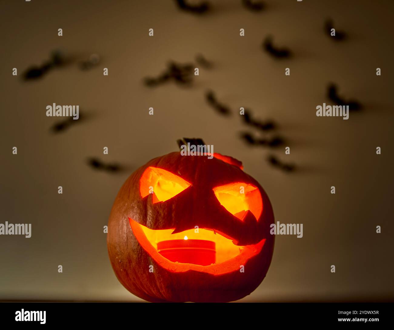 Lanterne éclairée jack o ' avec un visage menaçant, dans une pièce faiblement éclairée avec décoration chauve-souris. Citrouille effrayante au visage sinistre sculpté pour Halloween avec des chauves-souris Banque D'Images