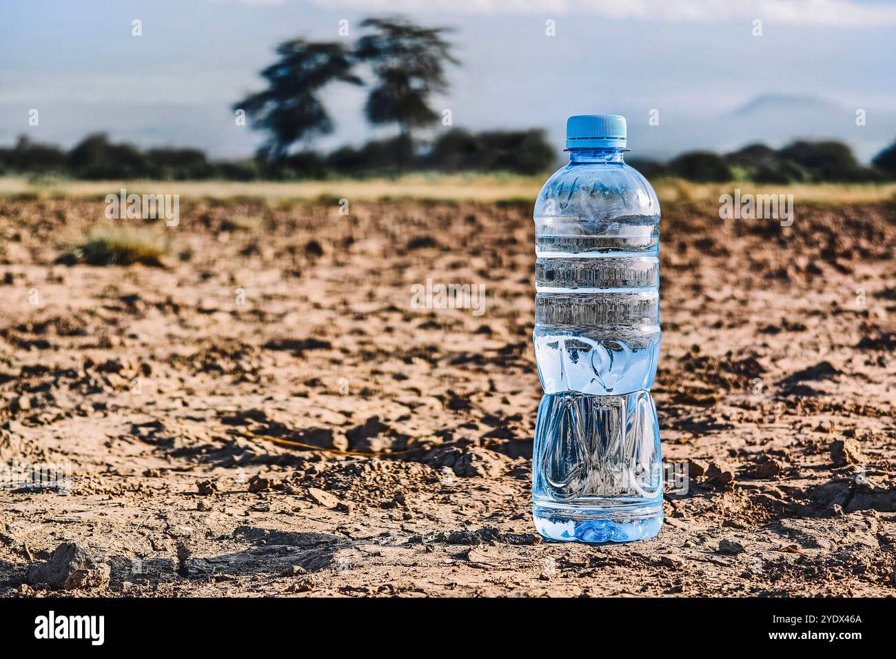 Concept de soif, déshydratation, manque d'eau. Une bouteille d'eau en plastique sur sol sec fissuré. Banque D'Images