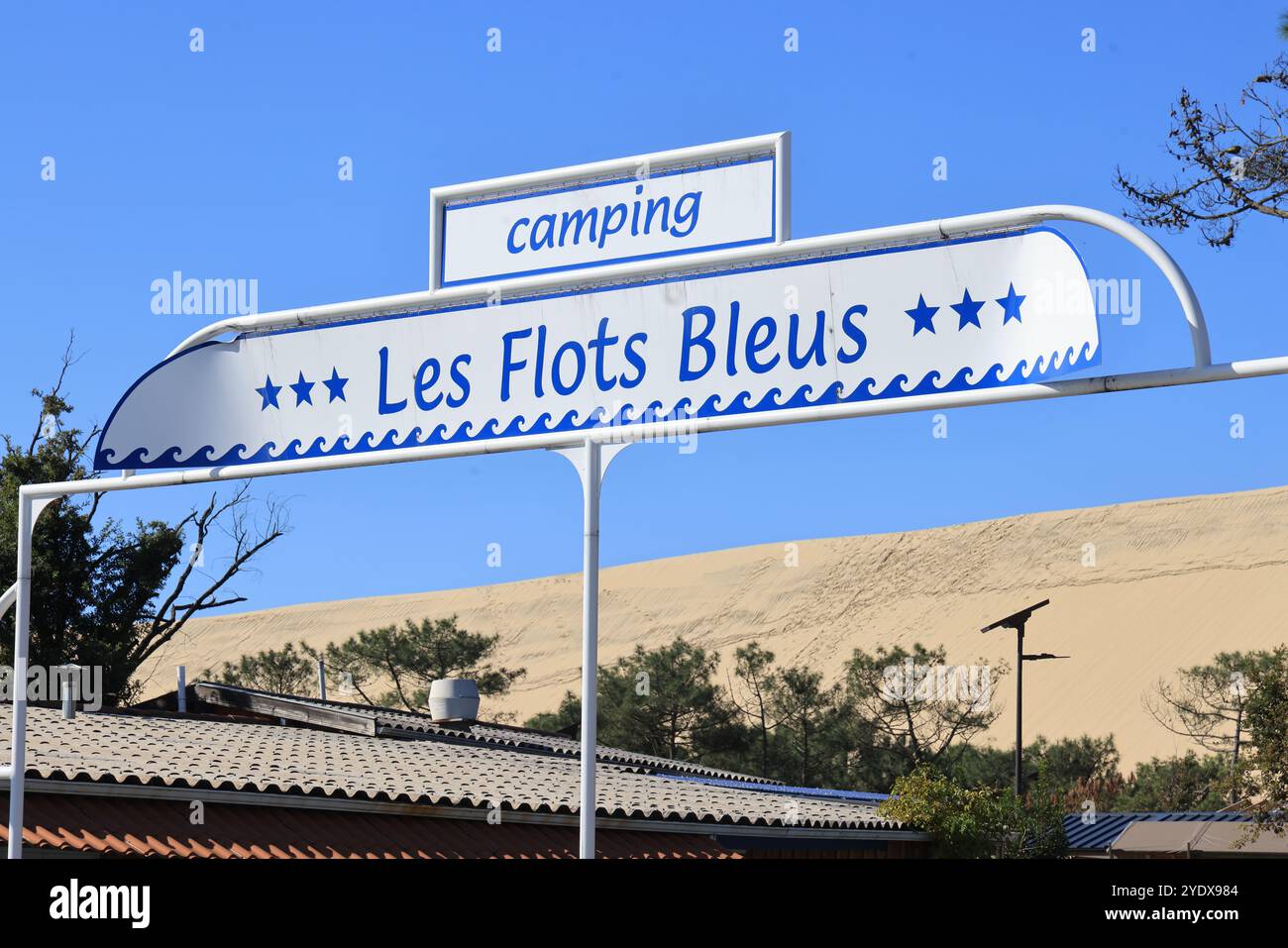 Catastrophe écologique : forêt de pins détruite par les grands incendies de juillet 2022 autour de la Dune du Pilat en Gironde dans le sud-ouest de la France. Plus que t Banque D'Images