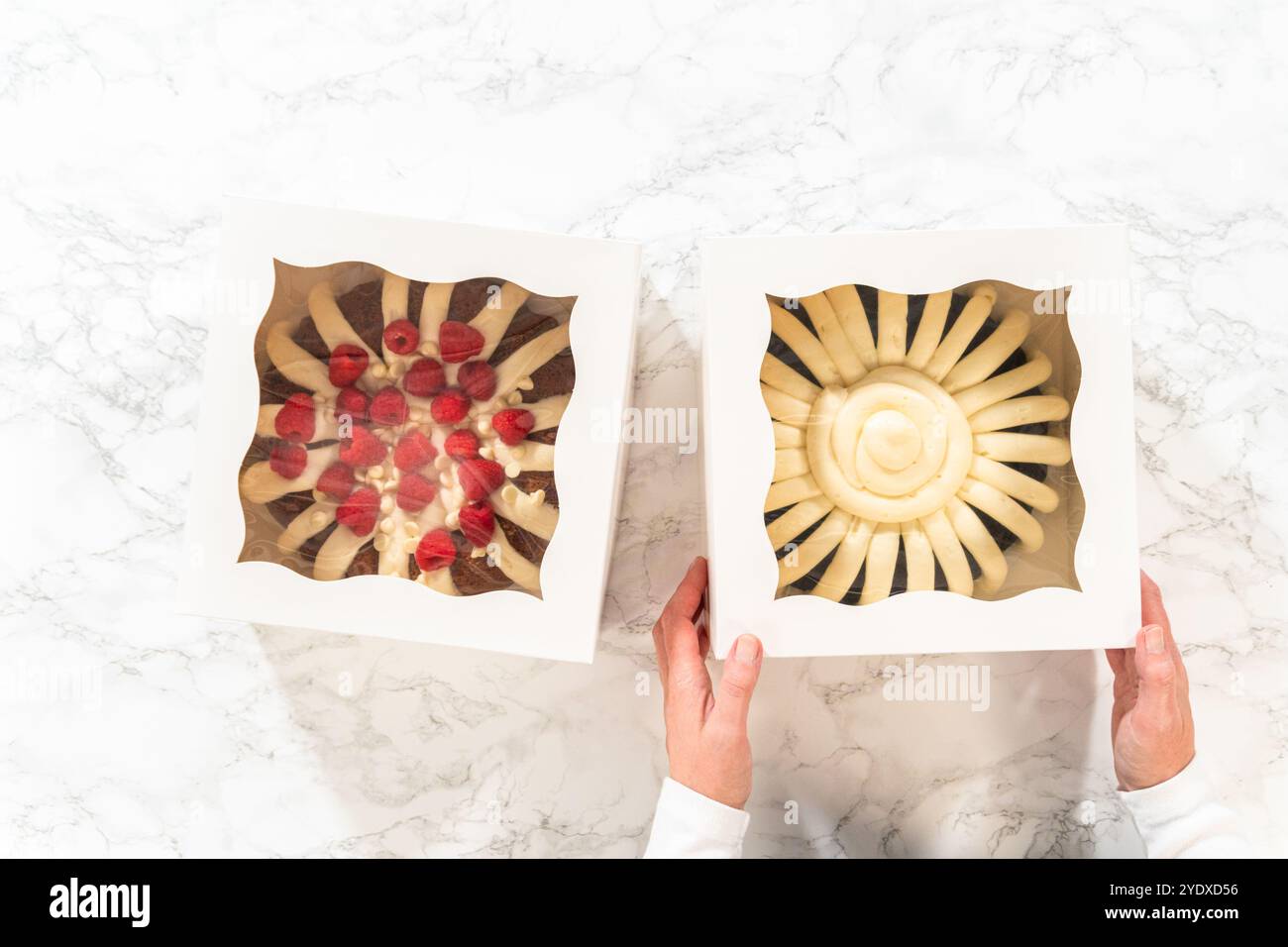 Gâteaux divins Bundt : glaçage crémeux dans des boîtes à fenêtres Banque D'Images