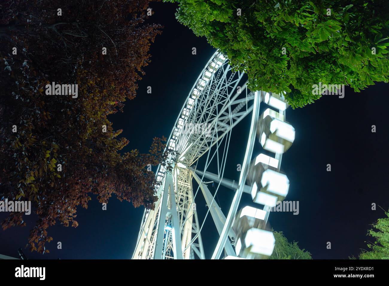 Budapest, Hongrie - 30 août 2024 : Peering up through the branches : une perspective unique de la grande roue de Budapest. Banque D'Images