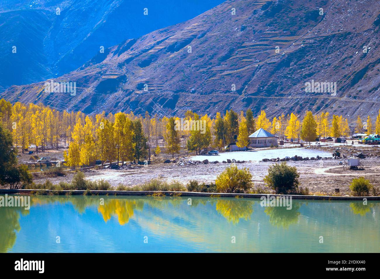 Automne dans les montagnes. Sissu est une petite ville dans la vallée de Lahaul en Inde dans l'Himachal Pradesh, à .40 km de Manali et de la rive de la rivière Chandrabhaga. Banque D'Images