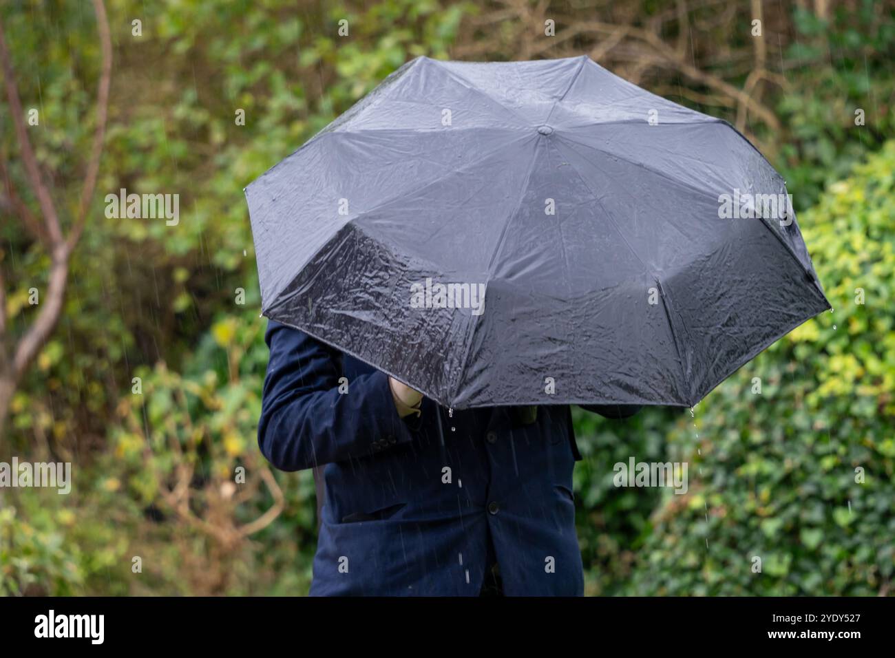 Une personne tient un parapluie noir sous la pluie. Concept de mauvais temps, pluvieux, tempêtes, précipitations, mauvaises prévisions, fortes précipitations Banque D'Images