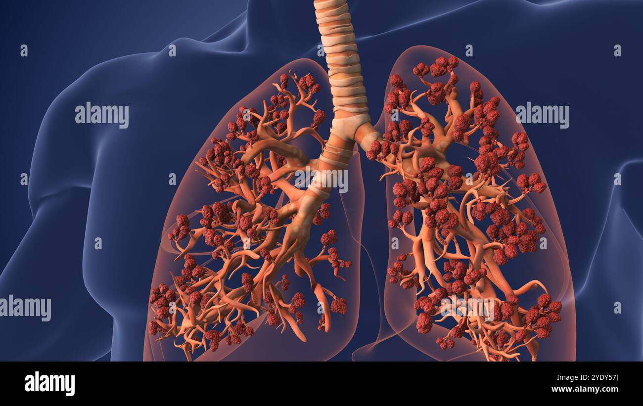 Alvéoles dans les poumons facilitant la respiration et l'oxygénation Banque D'Images