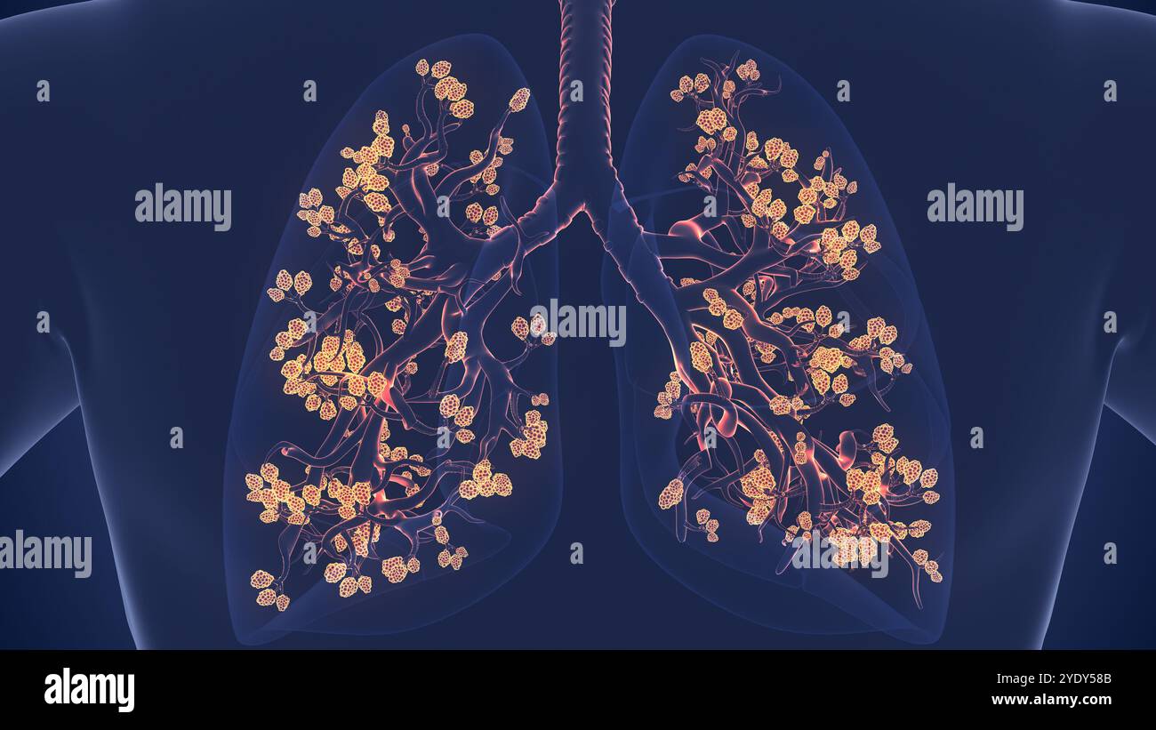 Alvéoles favorisant la respiration à l'intérieur de la structure pulmonaire humaine Banque D'Images