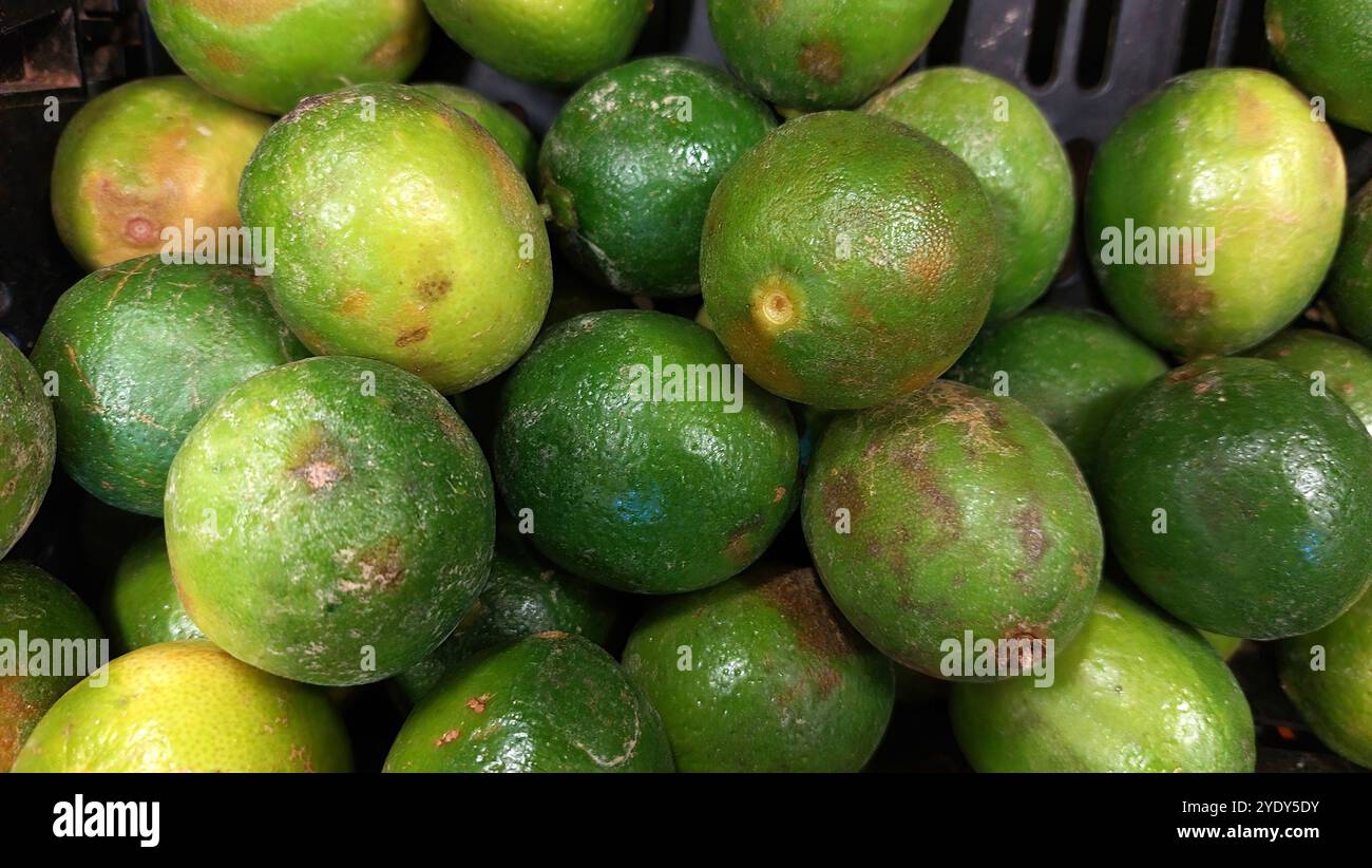 Limes (Citrus aurantifolia) Key Lime à vendre Banque D'Images