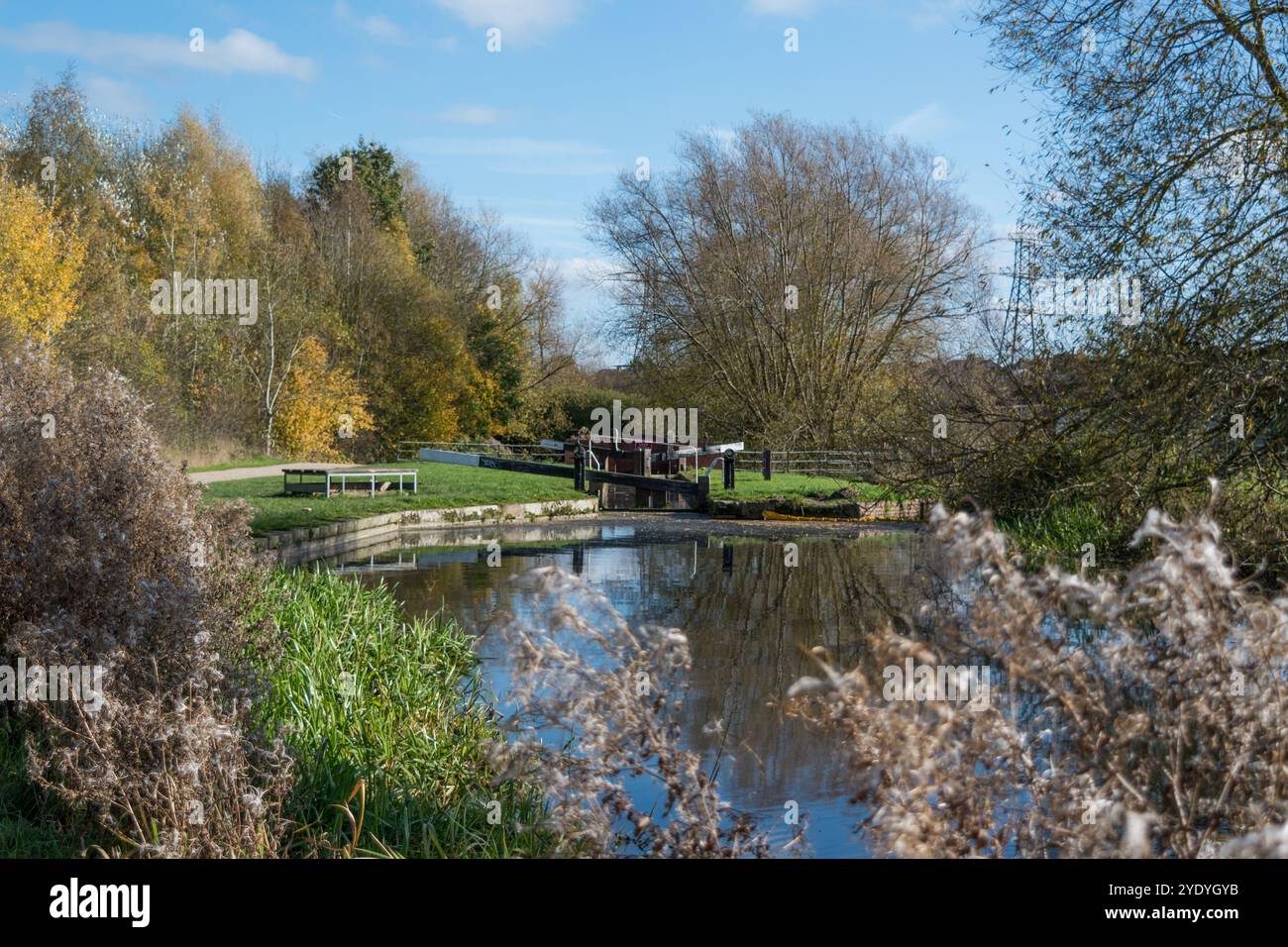 Un jour d'automne lumineux par le canal Chesterfield - près de la Hollingwood Hub section - Derbyshire, Angleterre Royaume-Uni. Banque D'Images