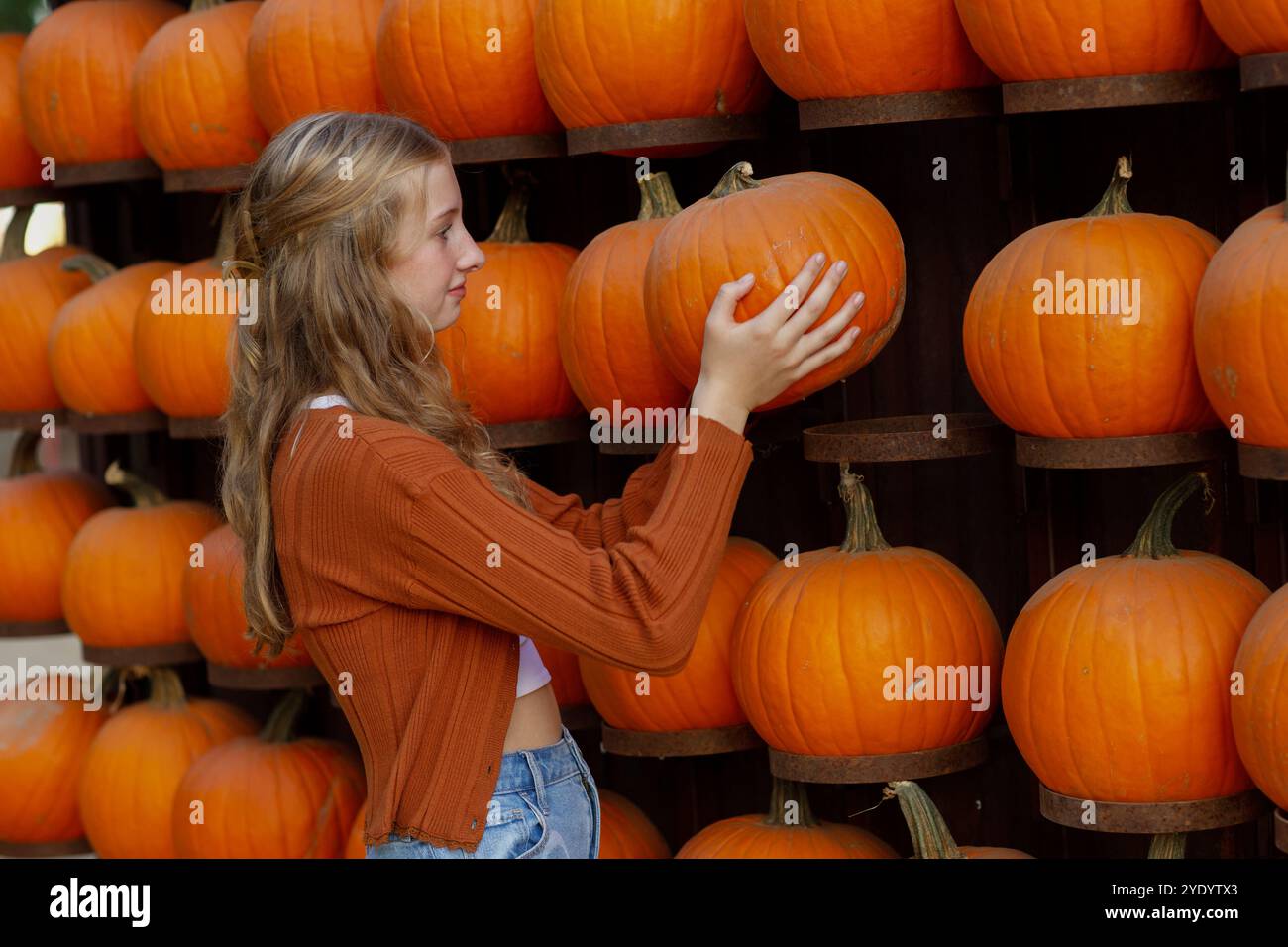 belle adolescente blonde cueillant une citrouille d'un mur de citrouilles Banque D'Images