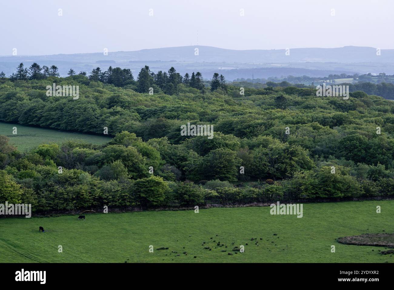 L'émetteur de Caradon Hill est allumé au crépuscule sur Bodmin Moor en Cornouailles, vu de Brent Tor dans le West Devon. Banque D'Images