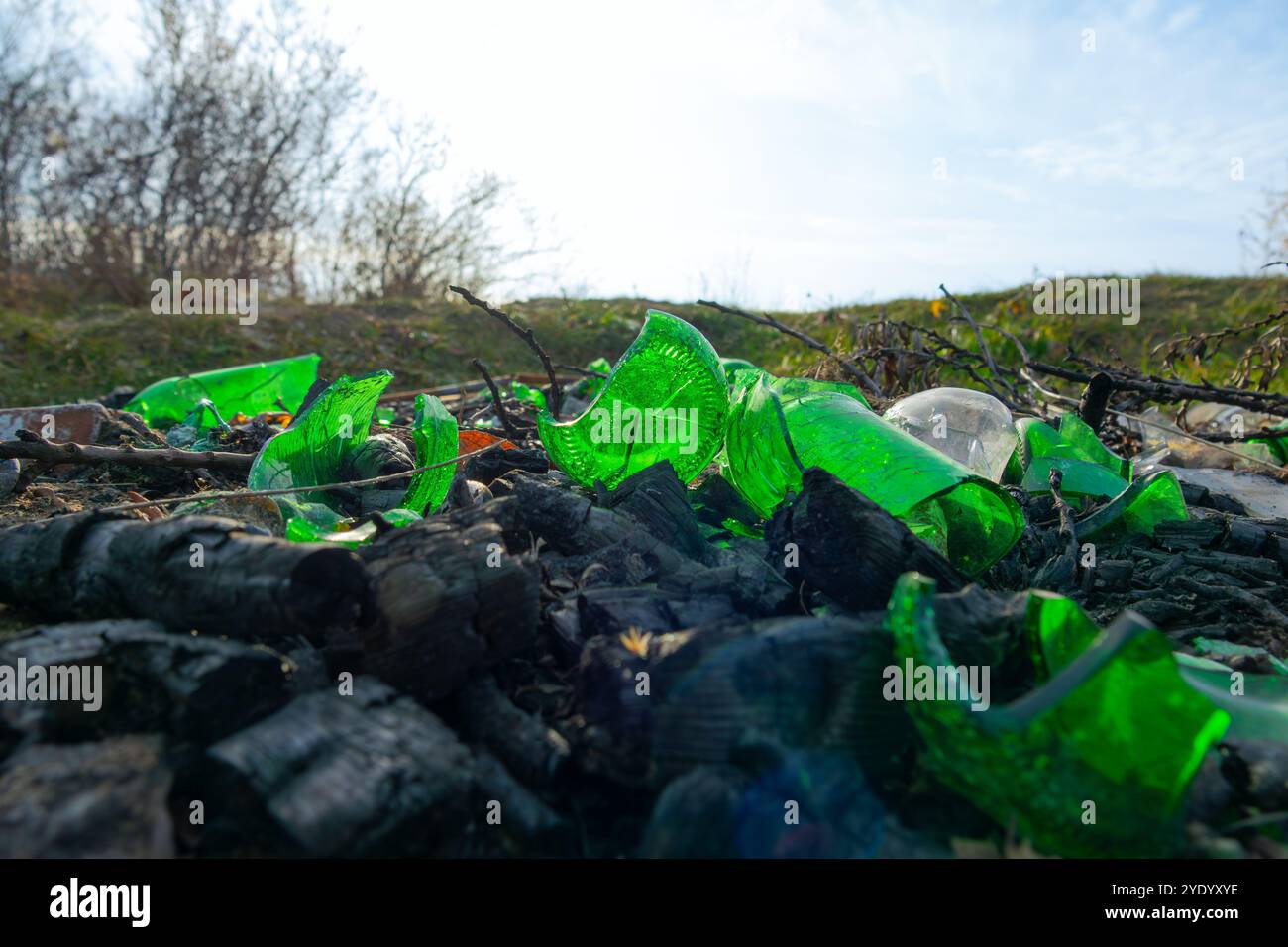 Bouteilles en verre brisées, ordures dans la nature Banque D'Images