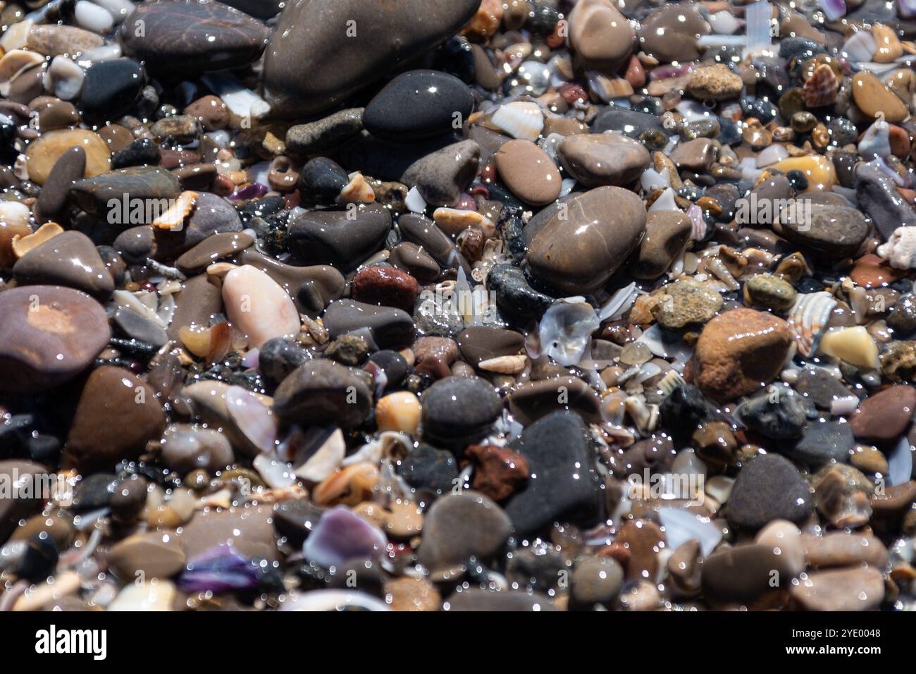 Un ensemble pittoresque de galets côtiers, présentant une symphonie de couleurs et de tailles, complétée par l'étreinte douce de l'eau de mer Banque D'Images