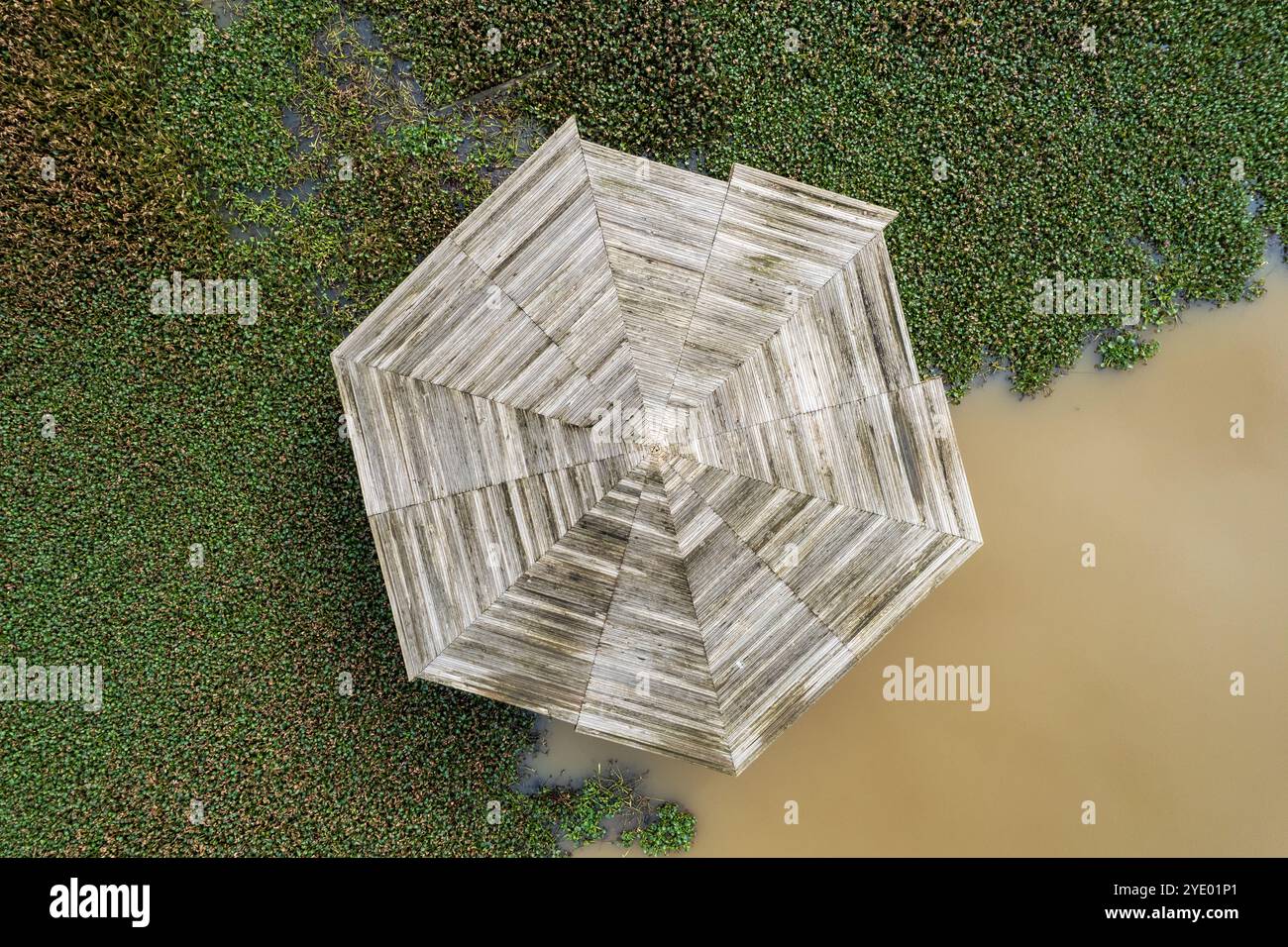 Lignes, formes et couleurs dans le paysage abstrait de la vue aérienne de drone. Rive du lac plein de jacinthes d'eau et une terrasse en bois. Fermentelos, Aveiro, Port Banque D'Images