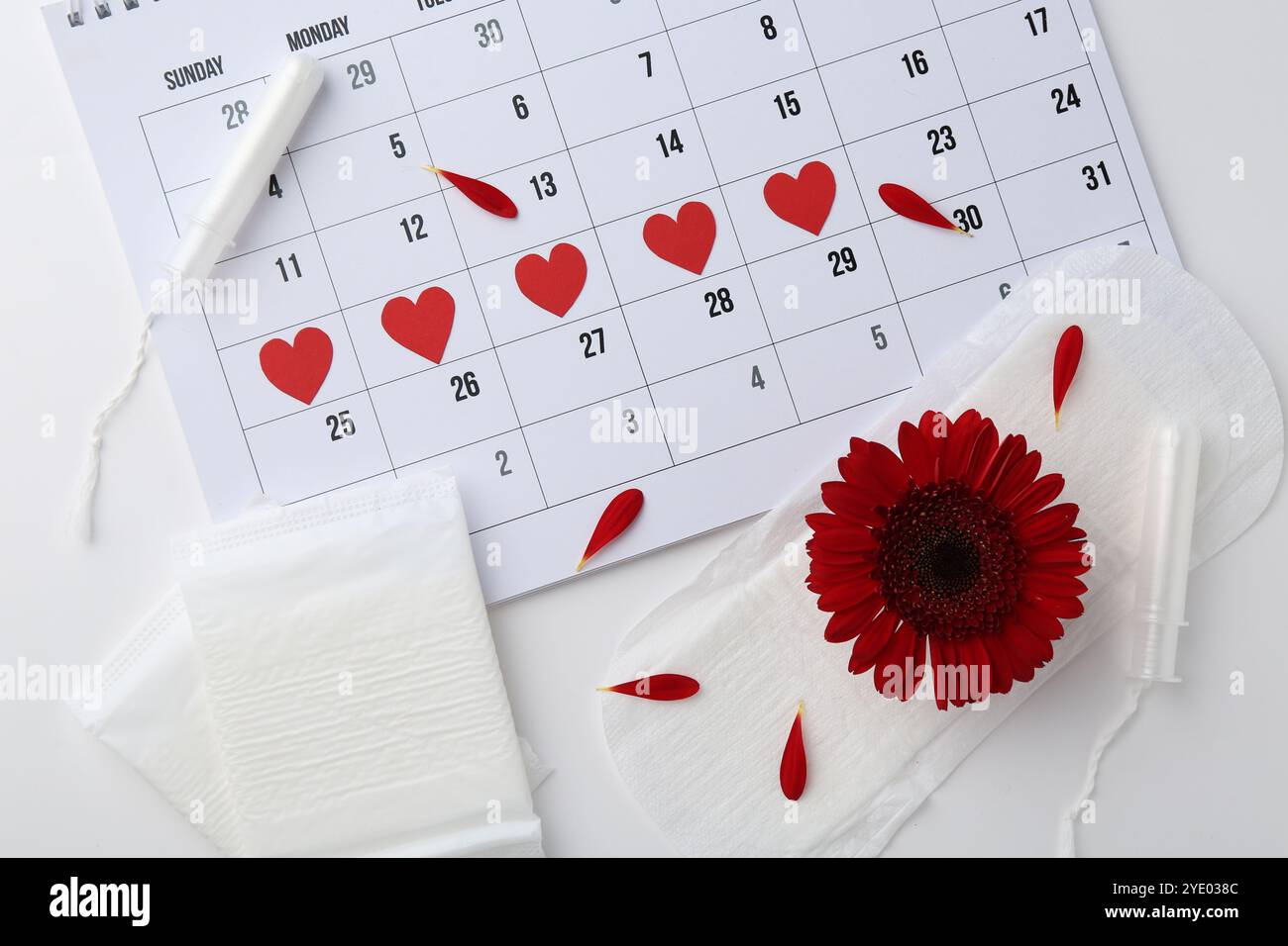 Composition de pose plate avec calendrier et produits menstruels sur fond blanc Banque D'Images