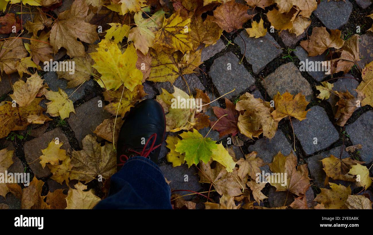 Pavés recouverts de feuilles d'automne. la chaussure d'une femme. Banque D'Images