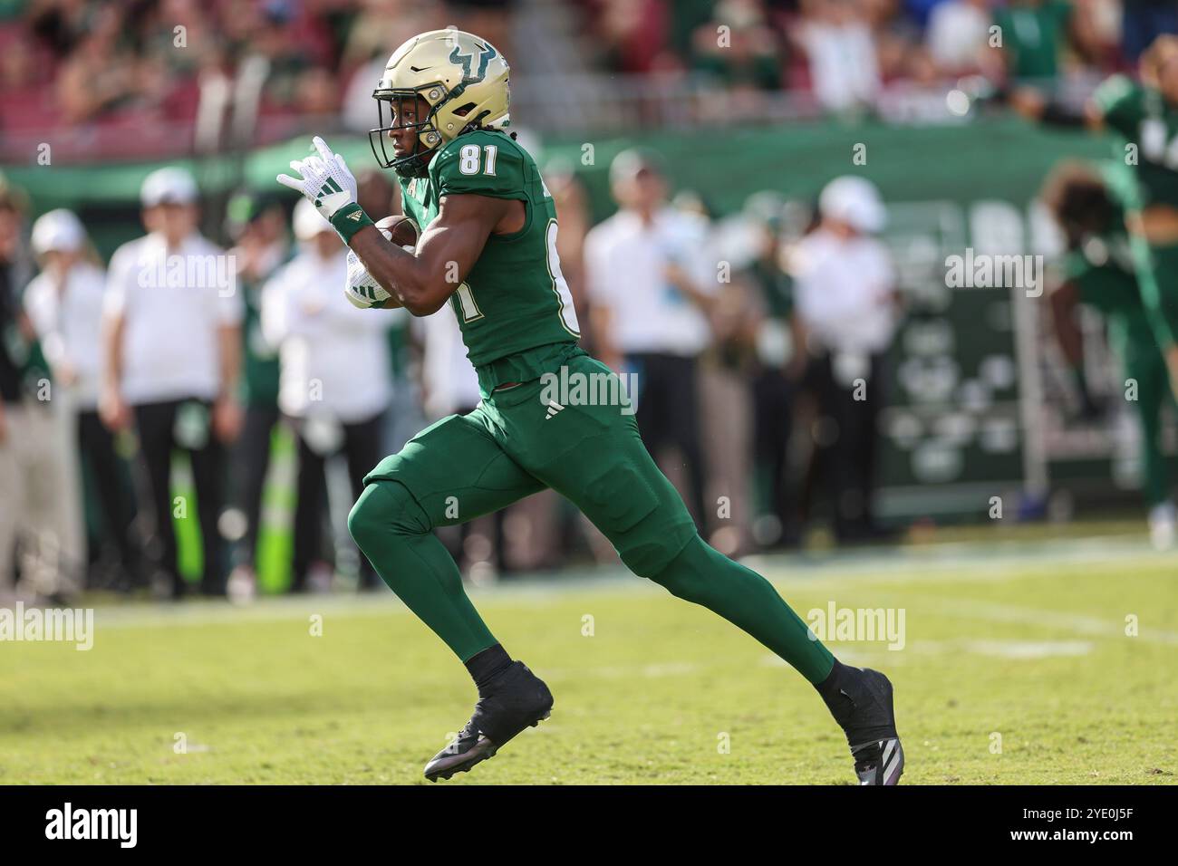 Tampa, FL USA : South Florida Bulls Wide récepteur Keshaun Singleton (81) fait une réception et tourne et court dans la zone de fin pour le touchdown durin Banque D'Images Tampa, FL USA : South Florida Bulls Wide récepteur Keshaun Singleton (81) fait une réception et tourne et court dans la zone de fin pour le touchdown durin Banque D'Images