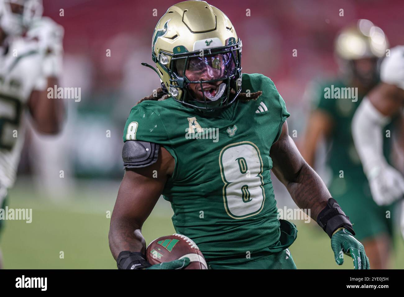 Tampa, FL États-Unis : les Bulls du sud de la Floride Running back Kelley Joiner (8) se retrouve dans la zone finale et marque lors d'un match de football de la NCAA contre les Blaze de l'UAB Banque D'Images Tampa, FL États-Unis : les Bulls du sud de la Floride Running back Kelley Joiner (8) se retrouve dans la zone finale et marque lors d'un match de football de la NCAA contre les Blaze de l'UAB Banque D'Images