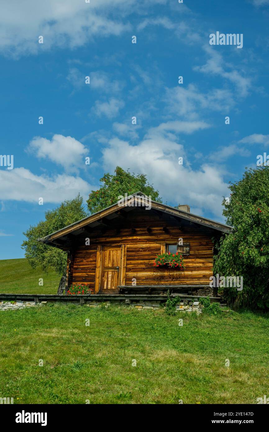 Une cabane avec des fleurs de géranium sur la Seiser Alm (Alpe di Siusi), la plus grande prairie alpine de haute altitude en Europe, site du patrimoine mondial de l'UNESCO au-dessus du Banque D'Images