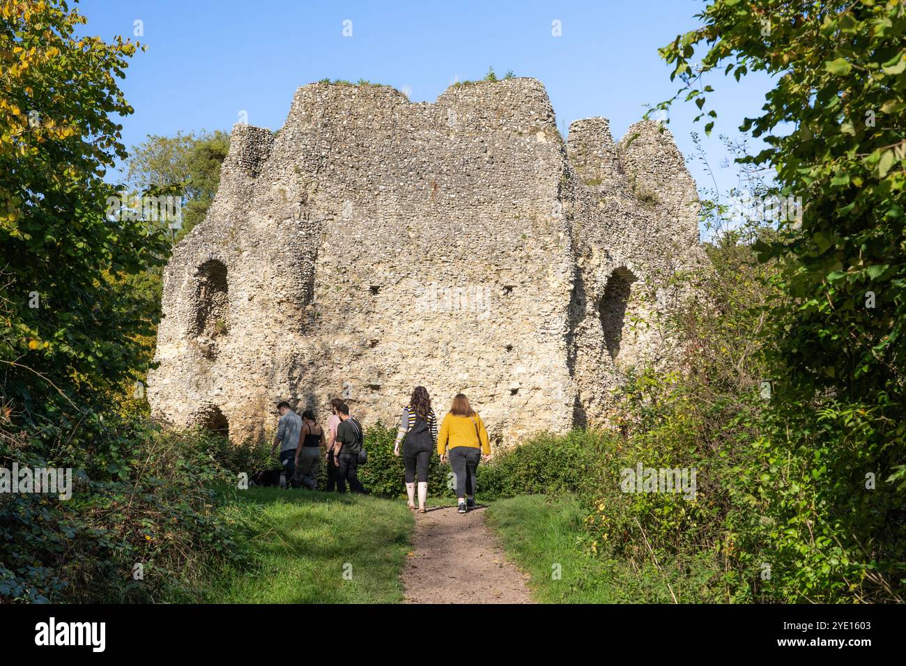 Visiteurs au donjon octogonal du château d'Odiham, également connu sous le nom de château du roi John, à côté du canal de Basingstoke un jour d'automne, Angleterre, Royaume-Uni Banque D'Images
