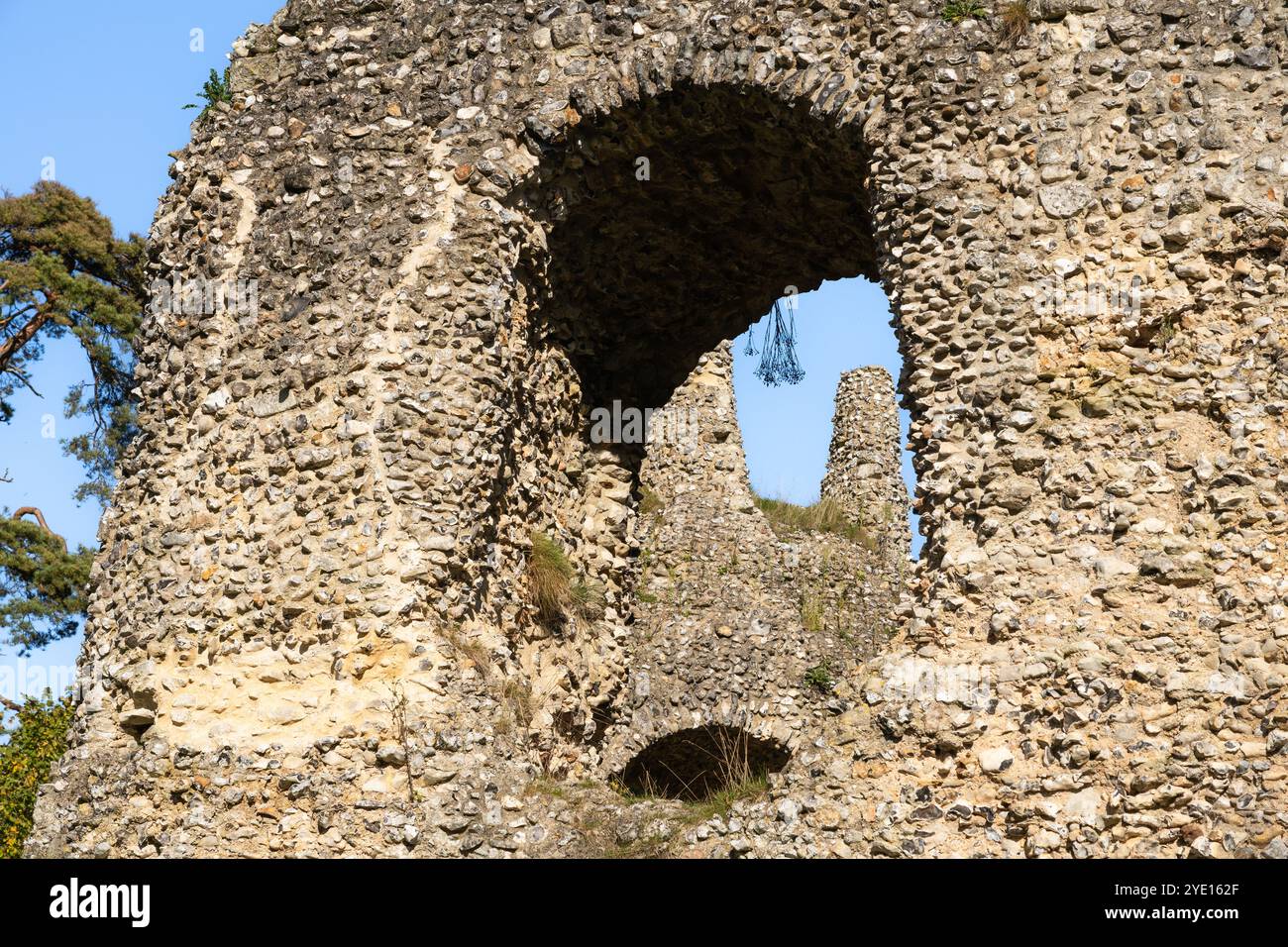 Le noyau en silex en ruine du donjon octogonal du château d'Odiham, également connu sous le nom de château du roi Jean, à côté du canal de Basingstoke un jour d'automne. ROYAUME-UNI Banque D'Images
