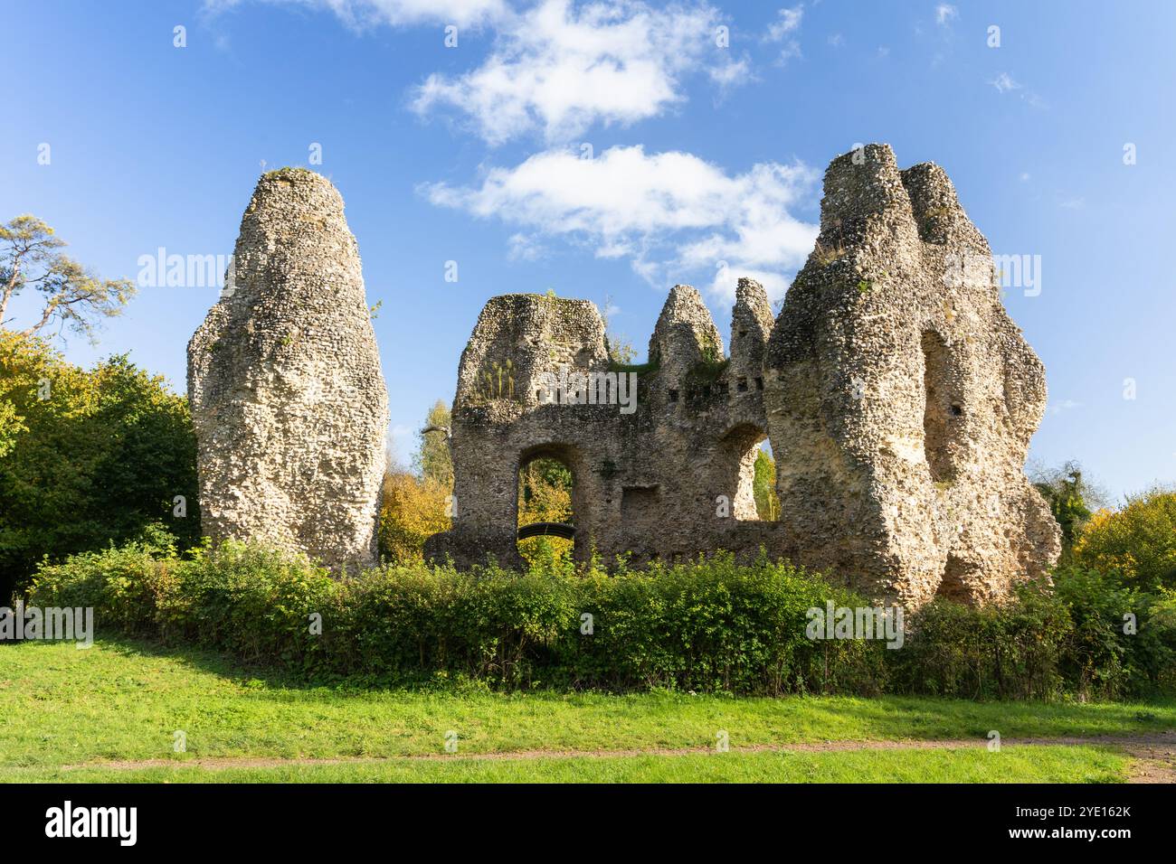 Le noyau en silex en ruine du donjon octogonal du château d'Odiham, également connu sous le nom de château du roi Jean, à côté du canal de Basingstoke un jour d'automne. ROYAUME-UNI Banque D'Images