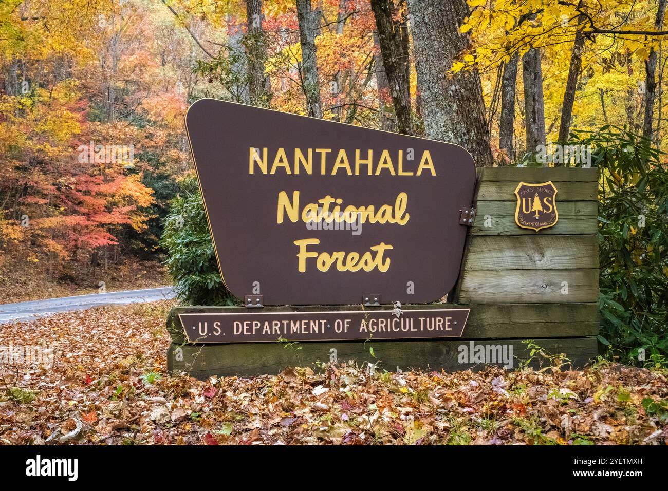 Nantahala National Forest signe le long de Dillard Road (NC-106) à Scaly Mountain, Caroline du Nord, entre Highlands, NC, et Dillard, GA. (ÉTATS-UNIS) Banque D'Images