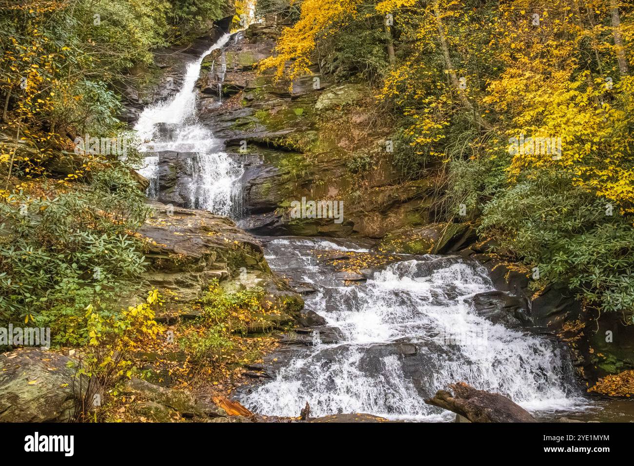 Mud Creek Falls dans Sky Valley, Géorgie, entre Highlands, Caroline du Nord, et Dillard, Géorgie. (ÉTATS-UNIS) Banque D'Images