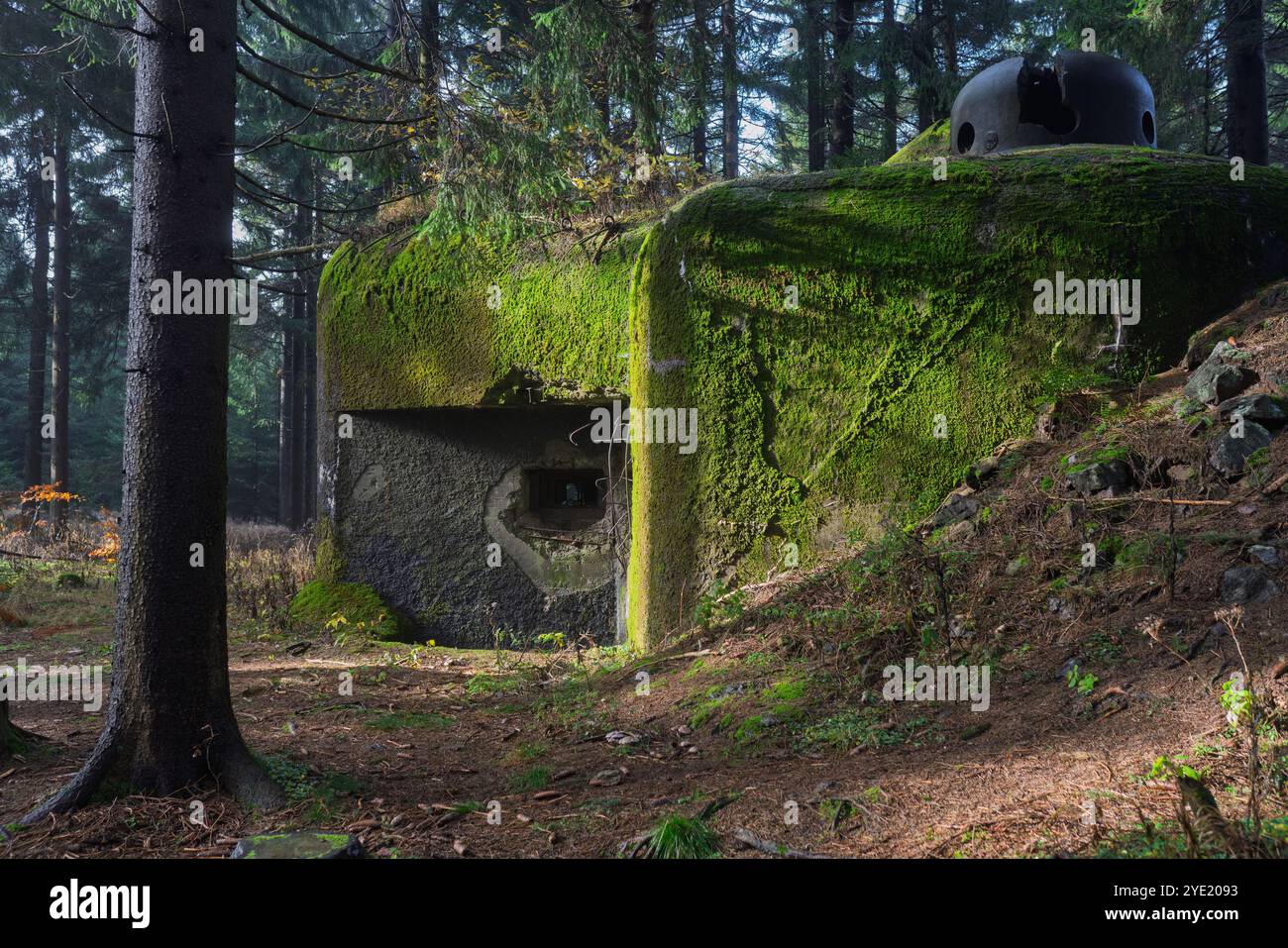 Fort lourd blockhouse tchécoslovaque des années 1930 à Orlické hory MTS. Objet R-S 86 'U paseky' endommagé par des tests d'attente militaires allemands. Vue latérale. Banque D'Images