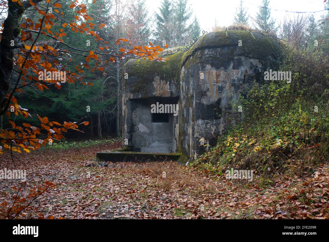 Fort lourd blockhaus tchécoslovaque des années 1930 dans les montagnes Orlické Hory. Objet R-S 89 'U Silnice' debout dans la forêt automnale. Banque D'Images