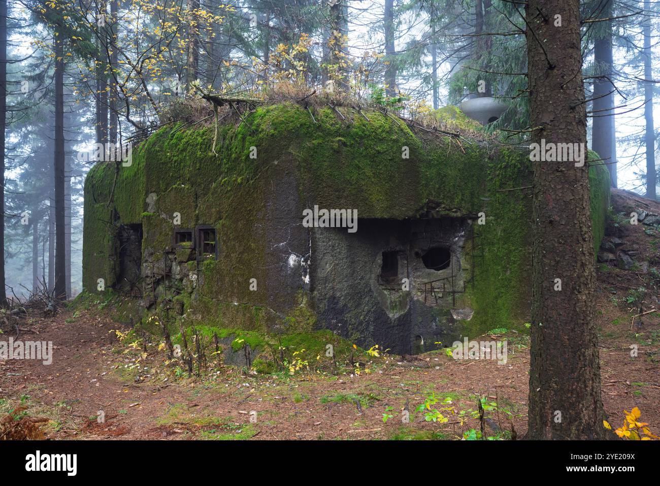 Fort lourd blockhouse tchécoslovaque des années 1930 à Orlické hory MTS. Objet R-S 86 'U paseky' endommagé par des tests d'attente militaires allemands. Vue générale. Banque D'Images